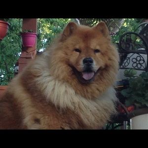 Meet your Posher, Barbara